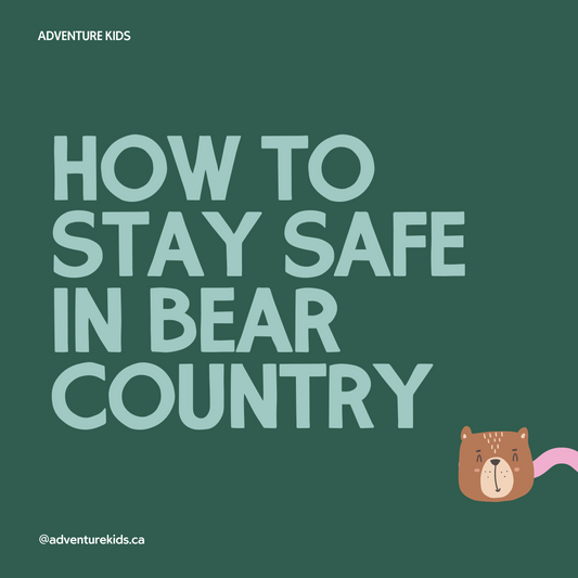 How to Stay Safe in Bear Country